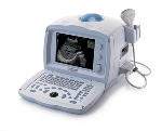 DP-8800 全数字黑白超声诊断系统